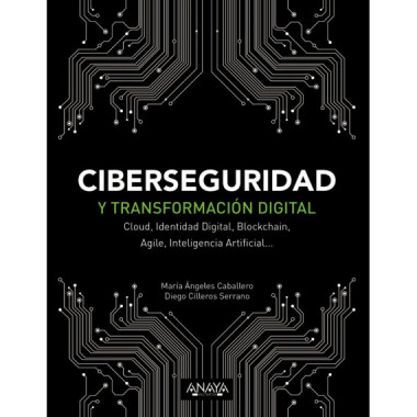 Ciberseguridad y Transformaciãƒâ³n Digital