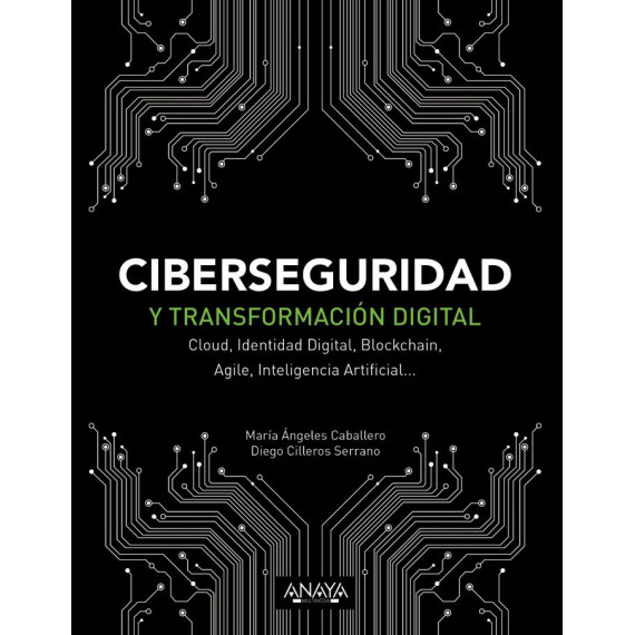 Ciberseguridad y Transformaciãâ³n Digital