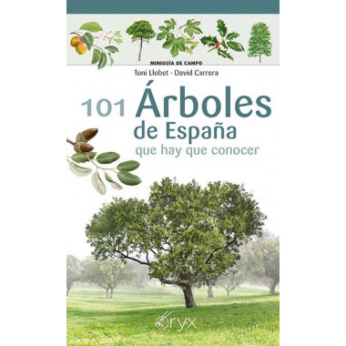 101 Arboles de Espaãƒâ‘a que Hay de Conocer