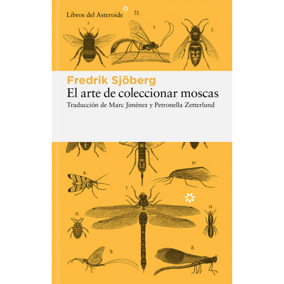 EL ARTE DE COLECCIONAR MOSCAS