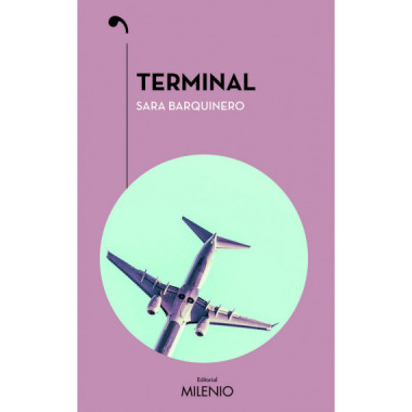 Terminal