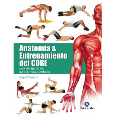 AnatomÃƒÂ­a & entrenamiento del CORE (color)