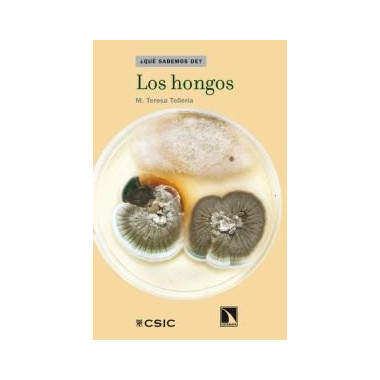 Los hongos