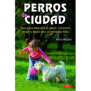 PERRO DE CIUDAD