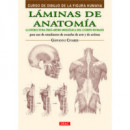 LÃÂ¡minas de anatomÃÂ­a