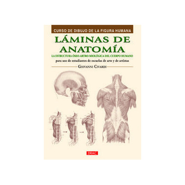 LÃƒÂ¡minas de anatomÃƒÂ­a