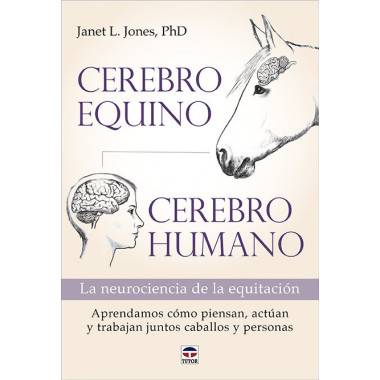 CEREBRO EQUINO CEREBRO HUMANO