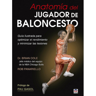 AnatomÃƒÂ­a del jugador de baloncesto