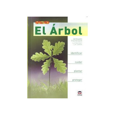 EL ÃƒÂRBOL