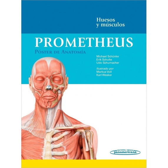 PROMETHEUS:Poster Anatomia.Huesos-Musc.