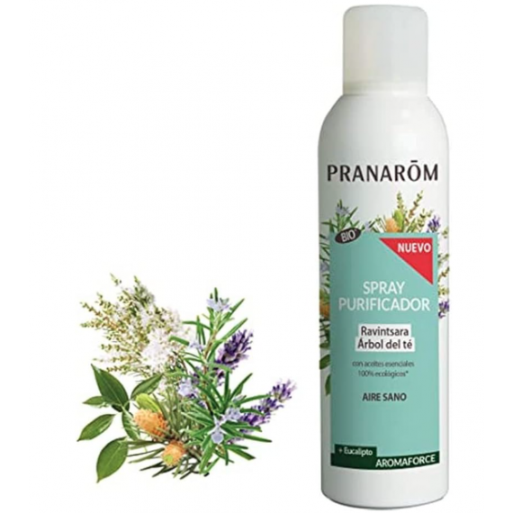 PRANAROM Spr. Purificador Ravintsara+arbol te 75