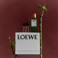 Esencia Set  LOEWE