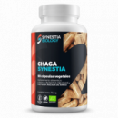 Chaga Synestia 90 Capsulas  SYNESTIA BIOLOGY