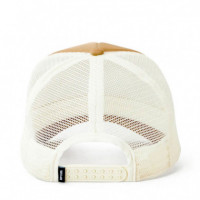 Gorra Classic Surf Trucker  RIP CURL