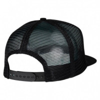 Gorra SANTA CRUZ Natas Screaming Panther