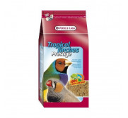 Food for parakeets and exotic birds