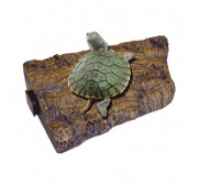 Reptiles y tortugas