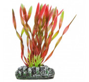 Accesorios para peces