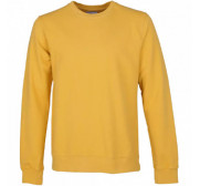 Jerseys y Sudaderas Unisex