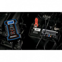 Cargador de Bateria 12/24V SOWELL 8A