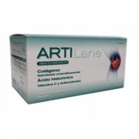 ARTILANE 15 Viales Monodosis X 30 Ml