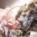 Absolue Not Your Rose  LANCOME