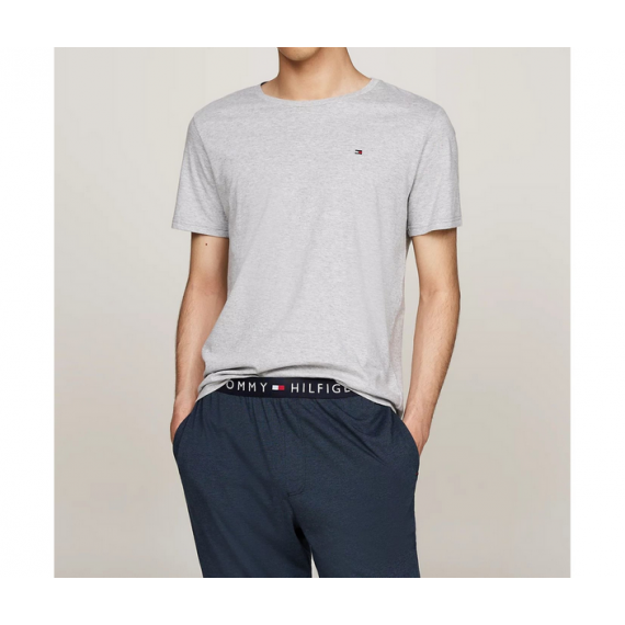 Camiseta Básica TOMMY HILFIGER Gris