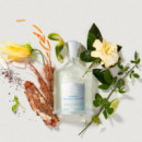 Virgin Island Water Eau de Parfum  CREED