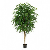 Longifolia Artificial Realista 210 Cm GREEN ESSENTIALS®