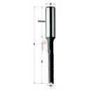 Broca 172.130.31 D13 Cmt