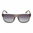 Gafas de Sol TB00025  TIMBERLAND