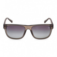 Gafas de Sol TB00025  TIMBERLAND