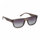 Gafas de Sol TB00025  TIMBERLAND