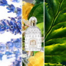 Les Colognes Eau de Cologne Du Coq  GUERLAIN