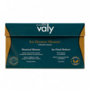 VALY Ion Booster Slimmer 84 Sticks y 56 Parches