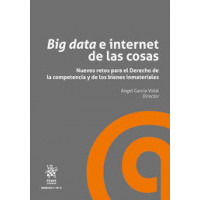Big Data E Internet de las Cosas