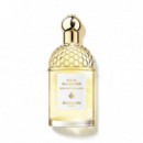 Aqua Allegoria Bergamota Calabria Edt  GUERLAIN