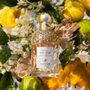 Aqua Allegoria Bergamota Calabria Edt  GUERLAIN