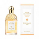 Aqua Allegoria Mandarine Basilic Edt  GUERLAIN