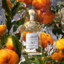 Aqua Allegoria Mandarine Basilic Edt  GUERLAIN