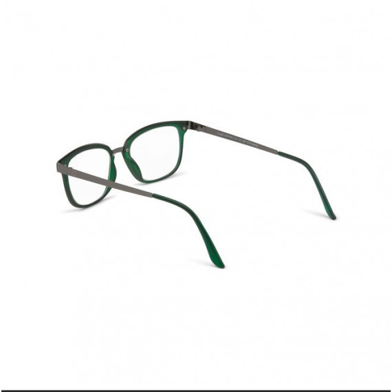 Gafa NORDICVISION Alingsas +1.00