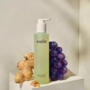 Gel & Tonic Cleanser  BABOR