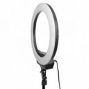 KINGJOY Aro de Luz R219