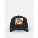 Gorra Goorin King Field 100  GOORIN BROS