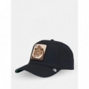 Gorra Goorin King Field 100  GOORIN BROS