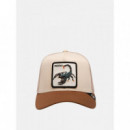 Gorra The Deadliest Scorpion de Goorin  GOORIN BROS