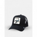 Gorra The Deadliest Scorpion de Goorin  GOORIN BROS