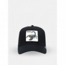 Gorra The Deadliest Scorpion de Goorin  GOORIN BROS
