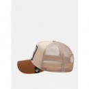 Gorra The Deadliest Scorpion de Goorin  GOORIN BROS