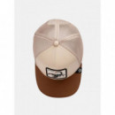 Gorra The Deadliest Scorpion de Goorin  GOORIN BROS